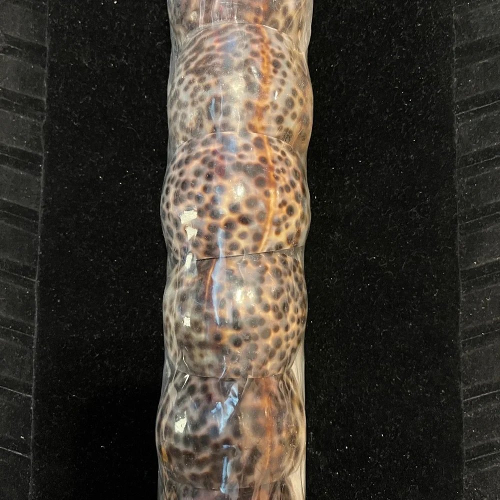Vintage Tiger Cowrie Sea Shell NAPKIN RING Holders SET of 6 Natural Brown Black